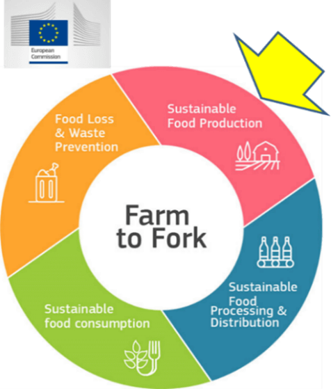 Figura 3: La estrategia “From farm to Fork” de la Comisión Europea y sus objetivos referentes a la cadena alimentaria y denominada el corazón del “Green Deal”. https://ec.europa.eu/food/farm2fork_en