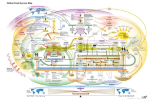 Figura 1- Global Food System. Source: ShiftN, 2009
