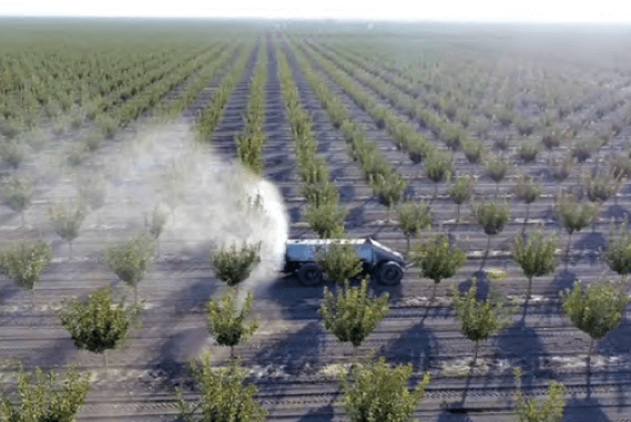 Pulverizador autónomo GUSS realizando la aplicación de fitosanitarios en una plantación tradicional de pistachos en California.