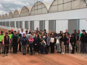 Agromillora and Boulevarde Nursery partnered in 2015, creating Agromillora Australia, to develop the Australian market