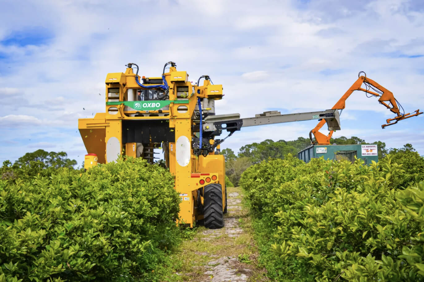 Field Day Features Mechanical Citrus Harvest