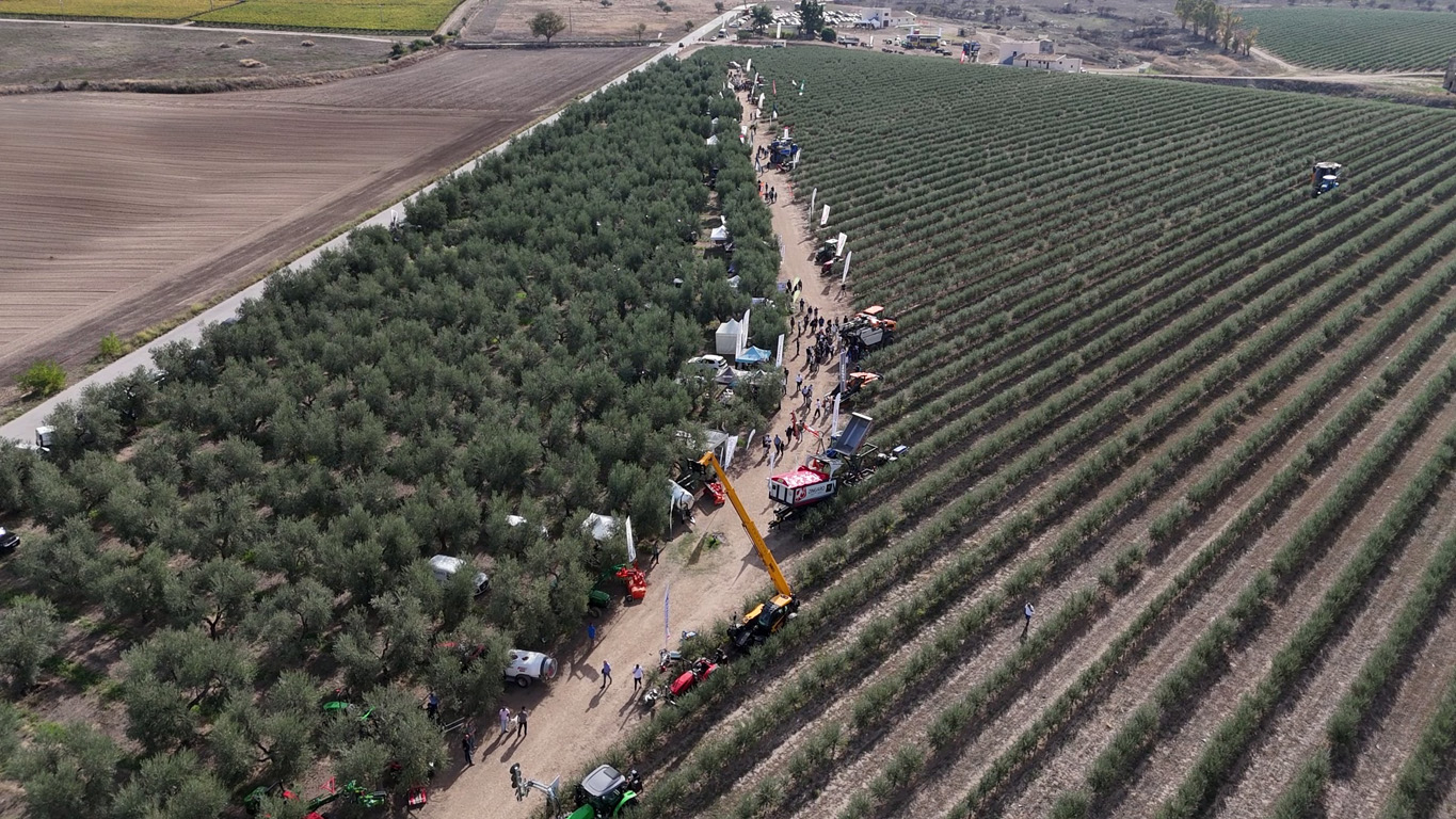 L’innovazione a Olivo in Campo fa il tutto esaurito