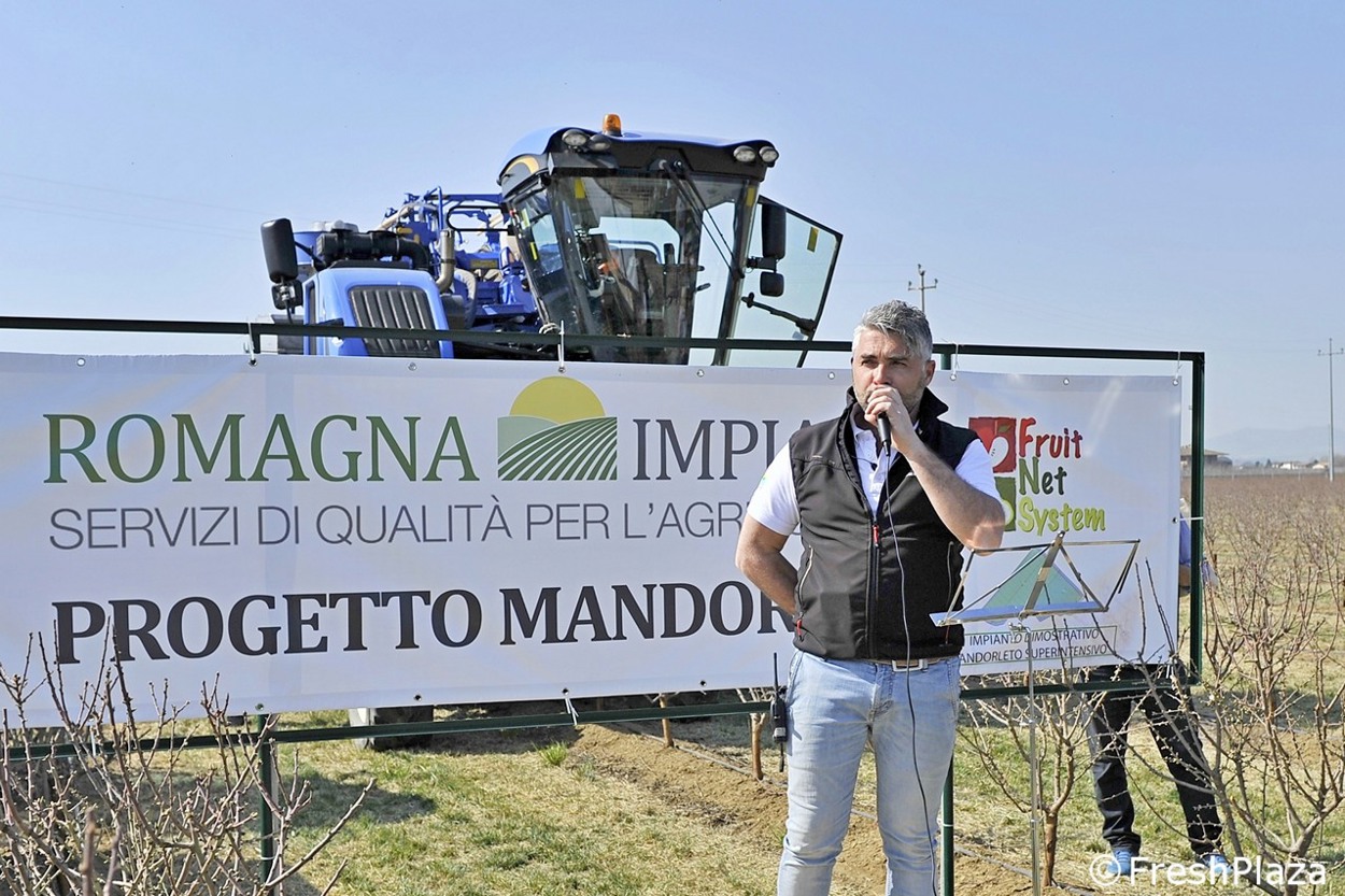 E’ nato il Consorzio italiano mandorlo moderno