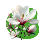 Ornamental Plants