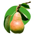Pears
