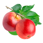 Apples