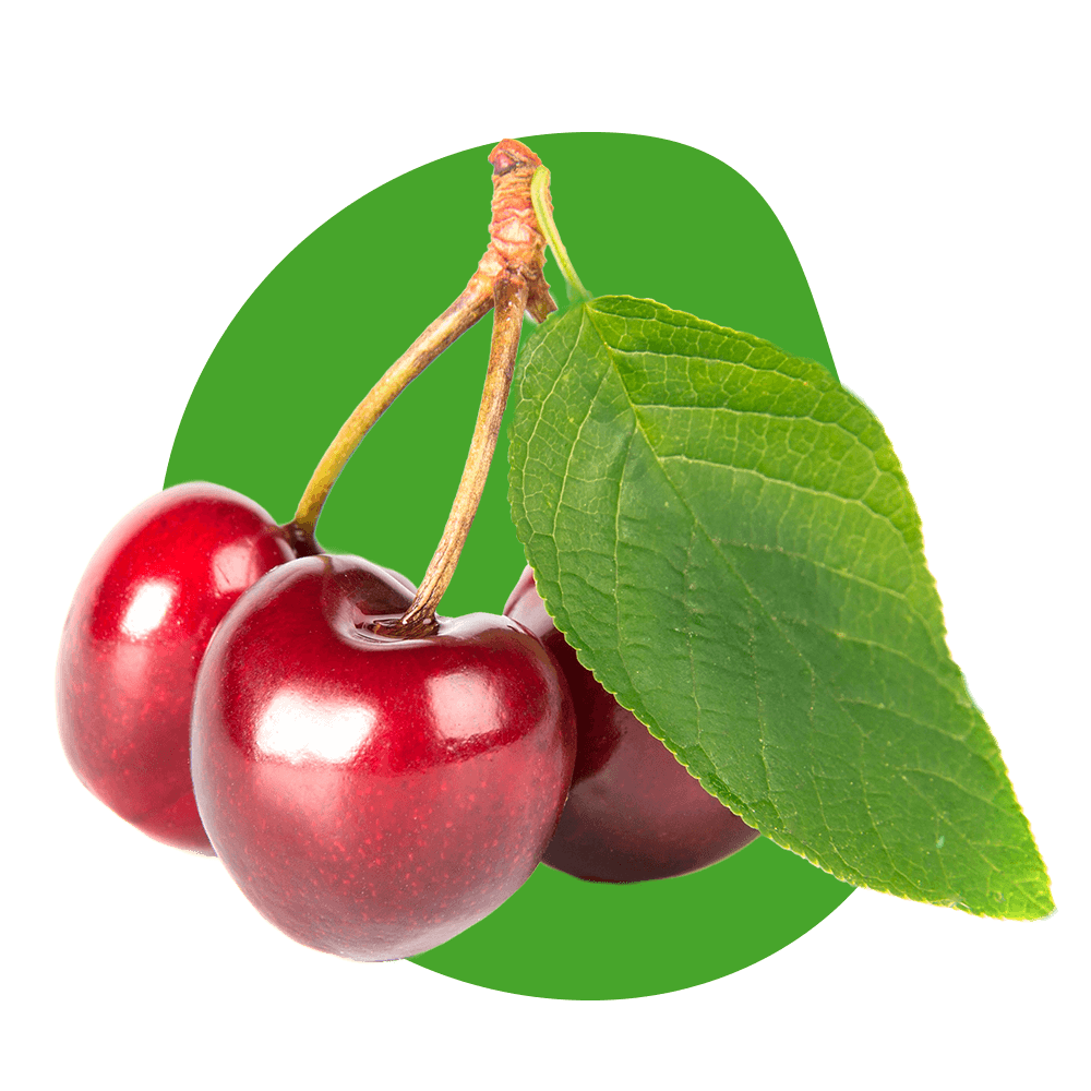 Cerezos