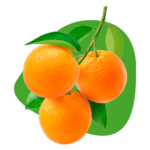 Citrus