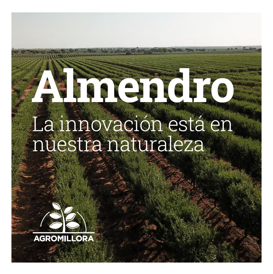 almendros portada