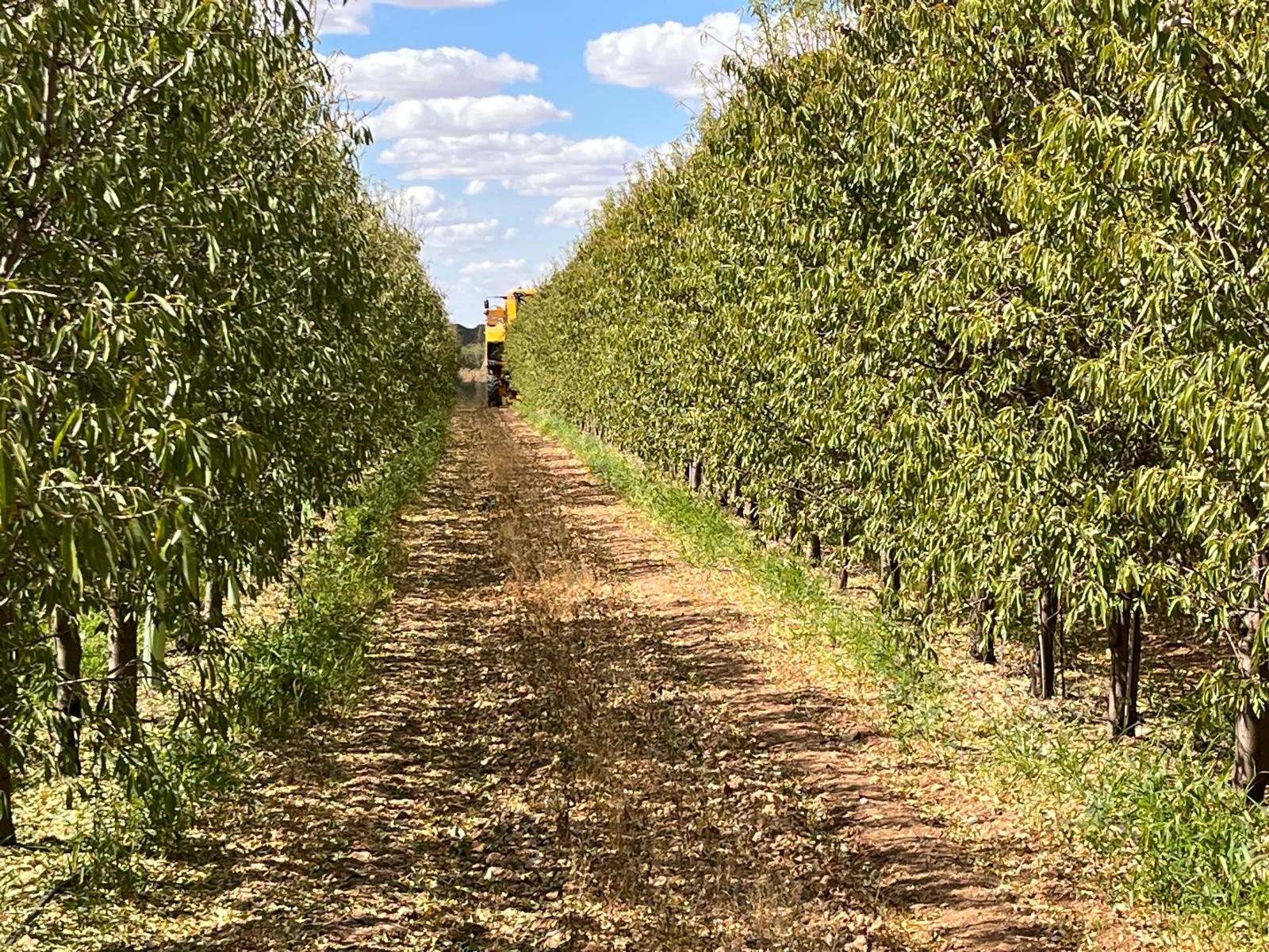Oportunidades de inversión en agricultura