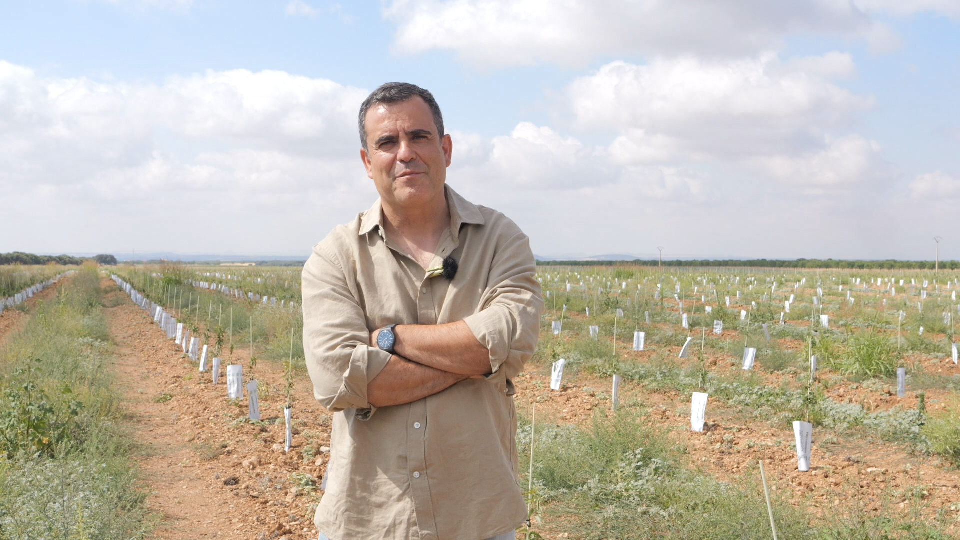 An X-ray of the Ibieca Farm