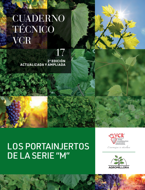 Captura de pantalla 2026-02-23 161617