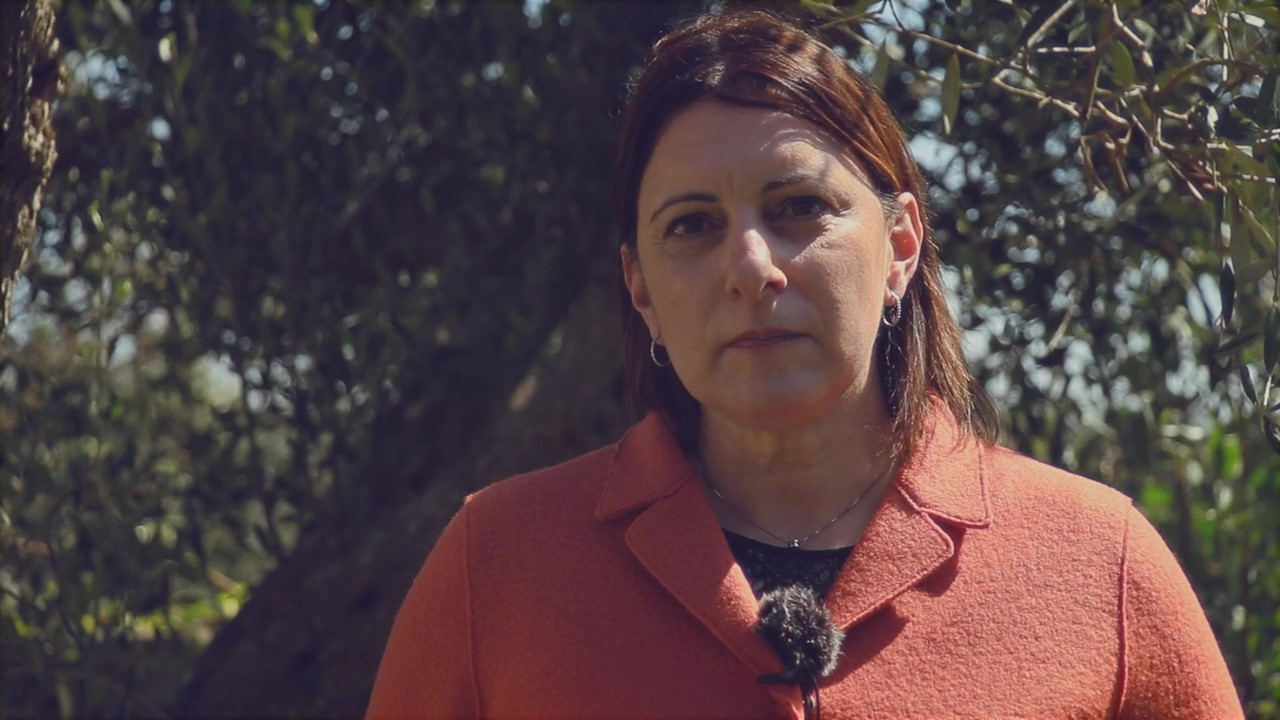 The resistance to xylella fastidiosa in olive: heritability demonstrated with leccino crosses