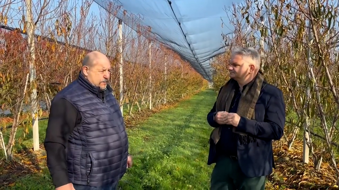 “Portinnesti e innovazione: la ricerca per il futuro del pesco”