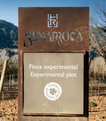 Agromillora_Jornada Viticultura 2