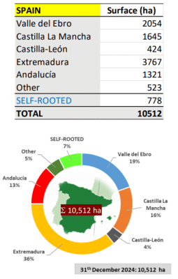Distribución y número de hectáreas de almendro en seto en españa (1)