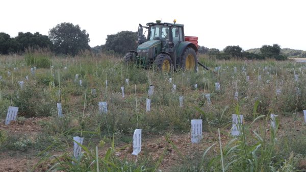 P1001067.00_00_09_23.Imagen fija003