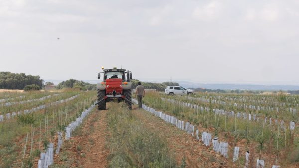 P1001067.00_00_18_36.Imagen fija001