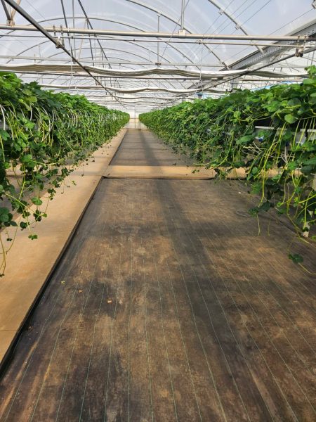 WhatsApp Image 2026-03-18 at 12.51.53 (2)