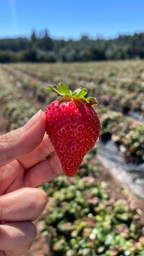 WhatsApp Image 2026-03-18 at 12.55.30