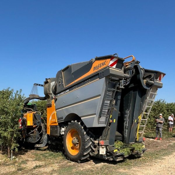 demotour raimat 2
